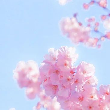 c3a59a6f7afe07793de5b67e21ca4346